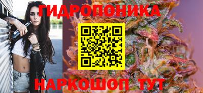 тгк Апшеронск