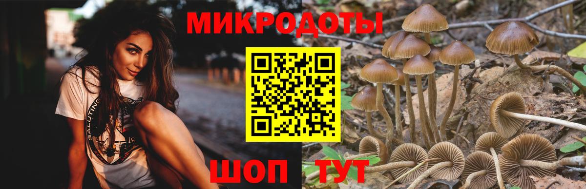 Псилоцибиновые грибы прущие грибы Ачинск